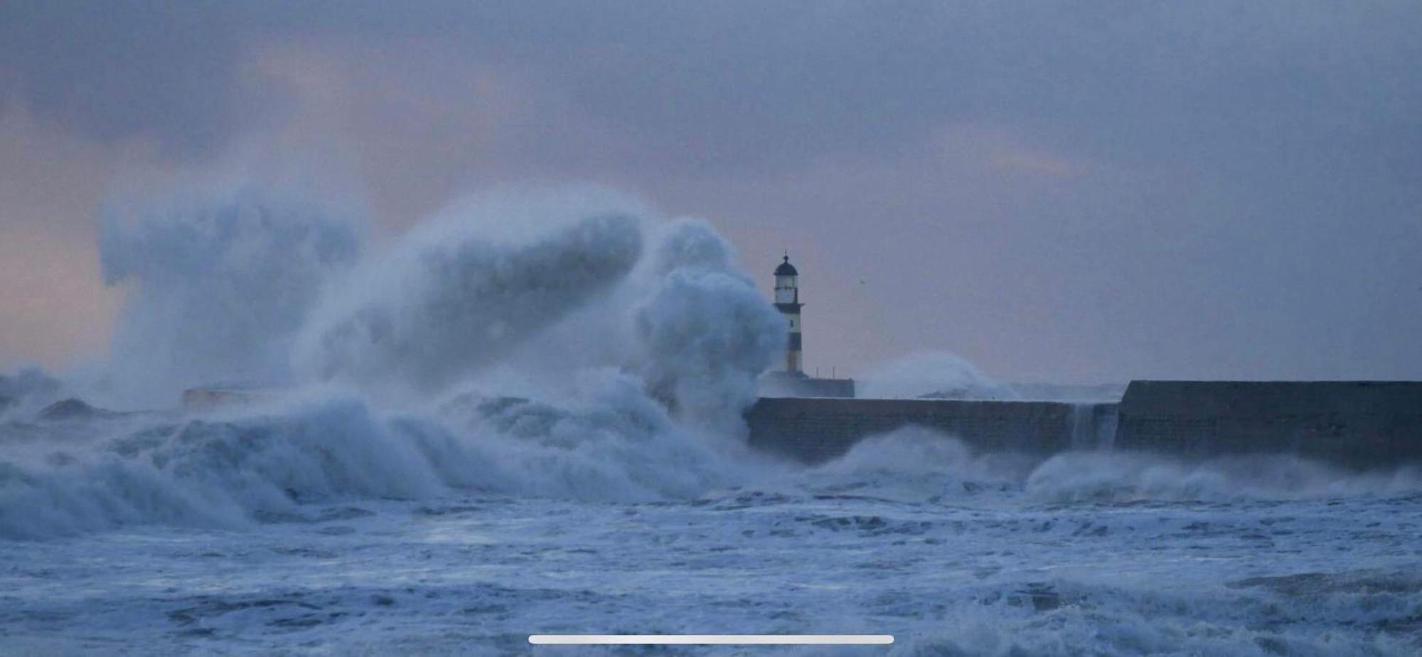 Coastal No 1